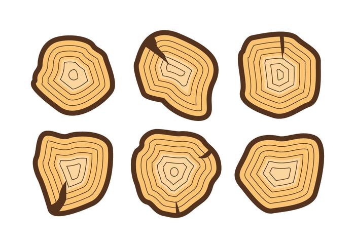 Gratis Tree Rings Vector Illustratie # 2