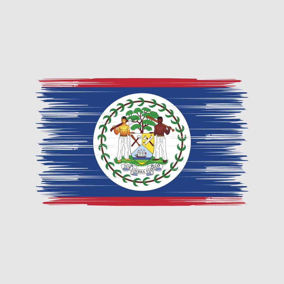 belize vlag borstel. nationale vlag vector