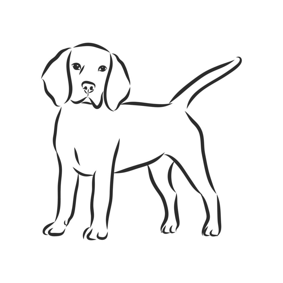 hond vector schets