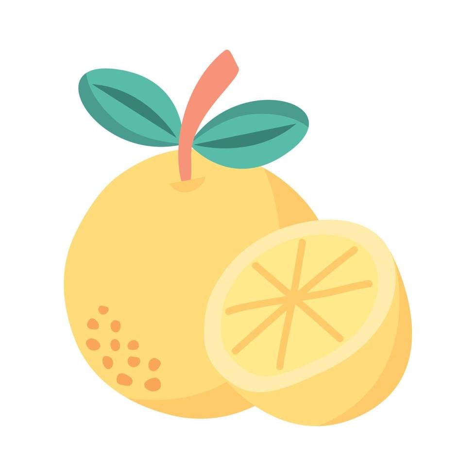 oranje citrusvruchten vector