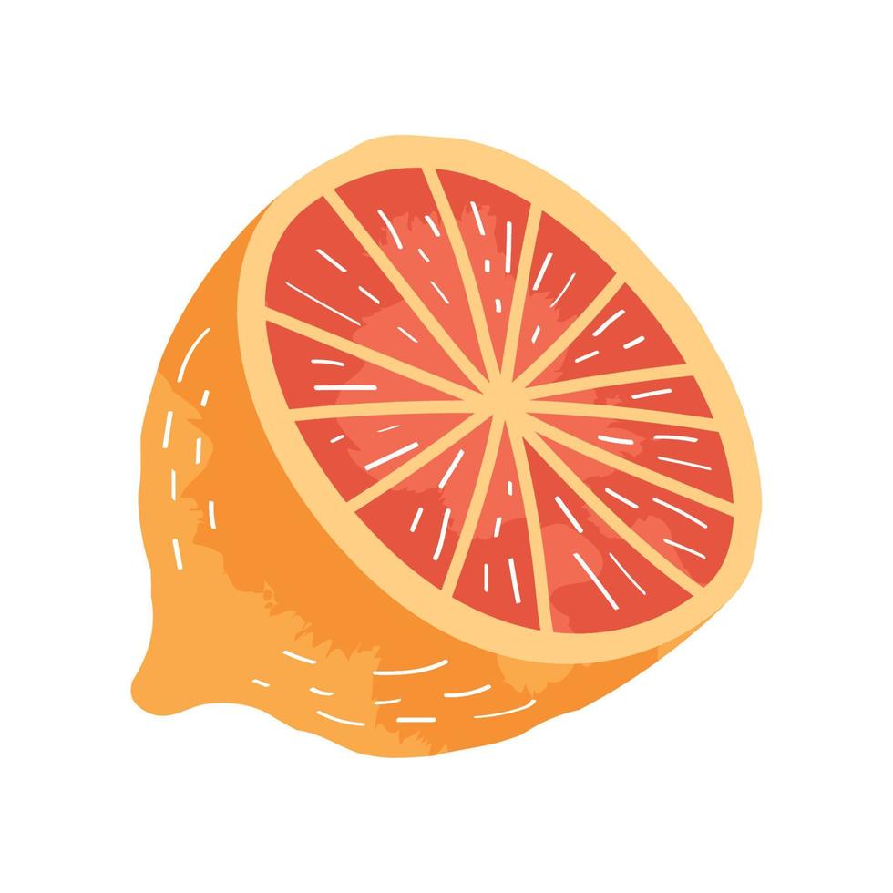 voor de helft oranje sap fruit vector