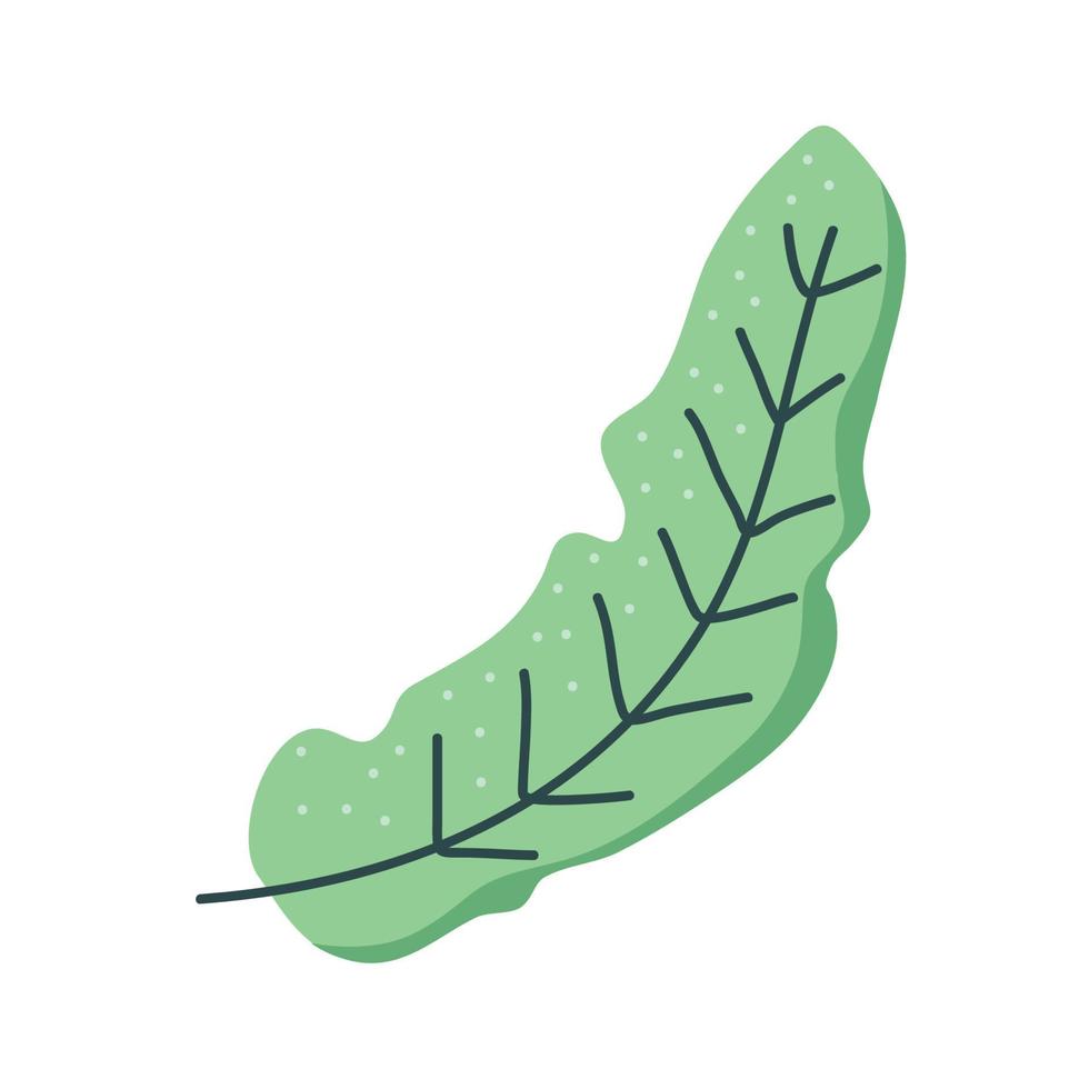 tropische bladpalm vector