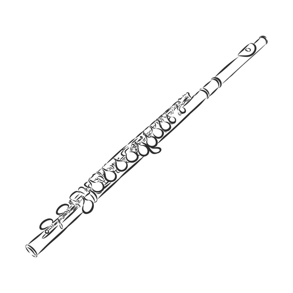 fluit vector schets