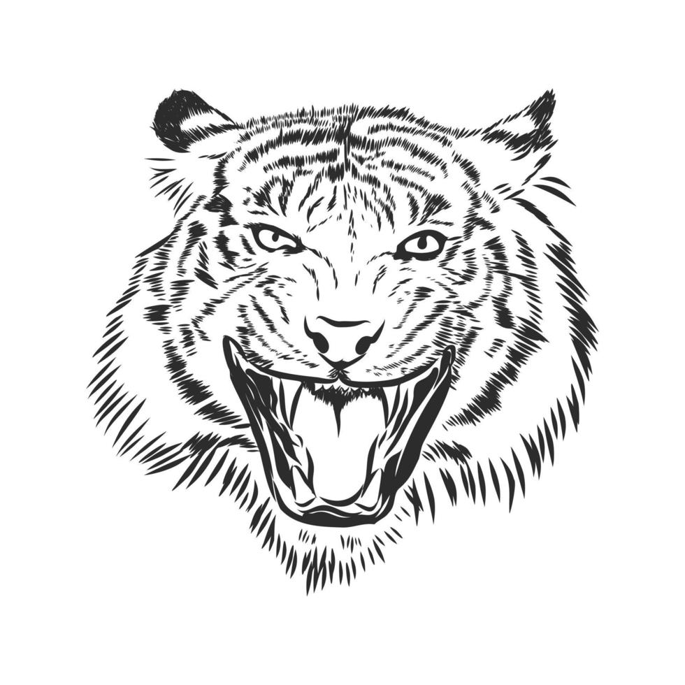tijger vector schetsen