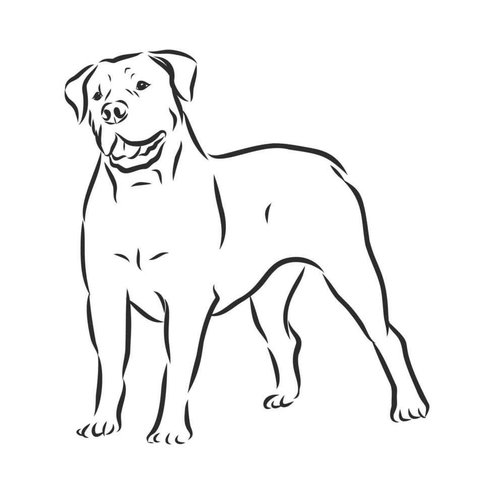 hond vector schets