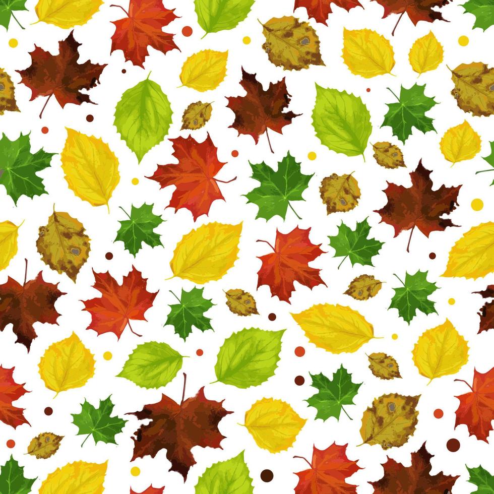 Hallo september herfst patroon vector achtergrond eik bladeren, champignons