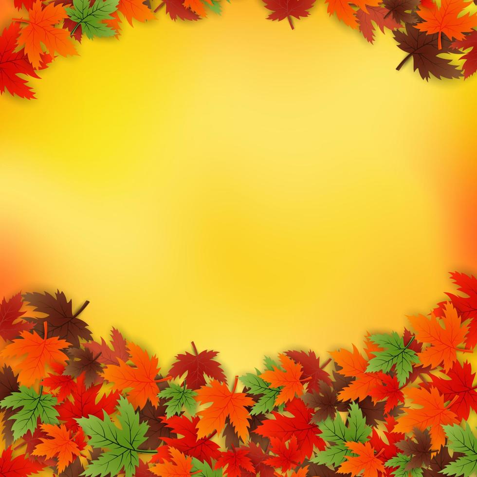 herfst achtergrond met bladeren, herfst concept, dankzegging achtergrond vector