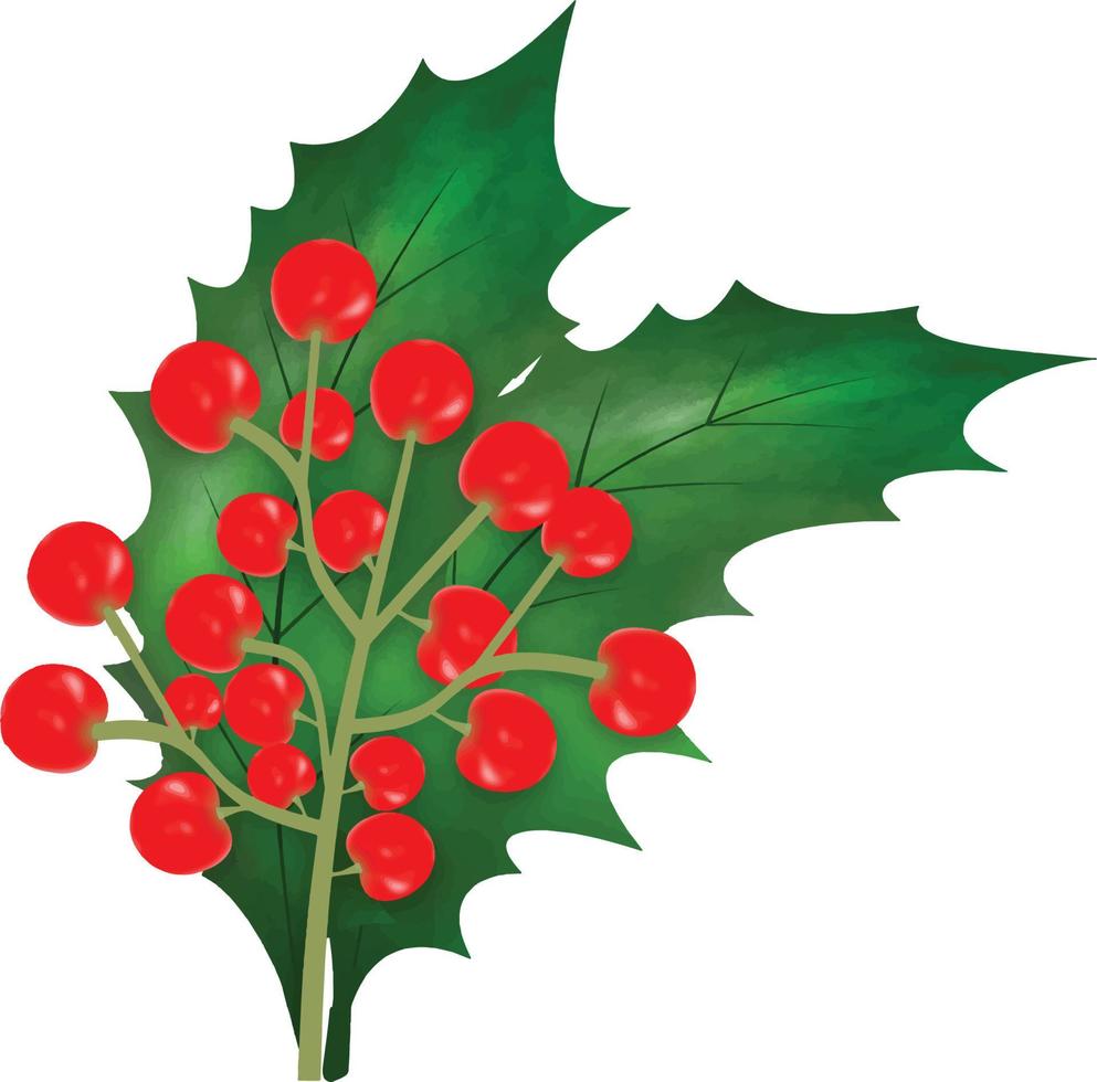 Kerstmis symbool vector illustratie. Kerstmis hulst bladeren en takken met winter rood bessen waterverf vector illustratie voor decoratief element. vector reeks van Kerstmis groenblijvend hulst bladeren.