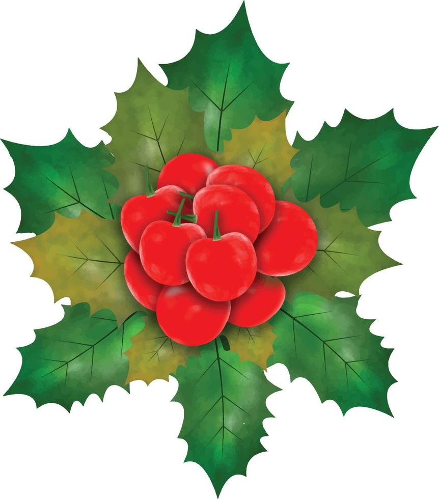 Kerstmis symbool vector illustratie. Kerstmis hulst bladeren en takken met winter rood bessen waterverf vector illustratie voor decoratief element. vector reeks van Kerstmis groenblijvend hulst bladeren.