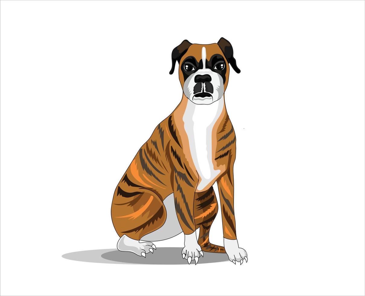 bokser hond vector illustratie voorkant houding