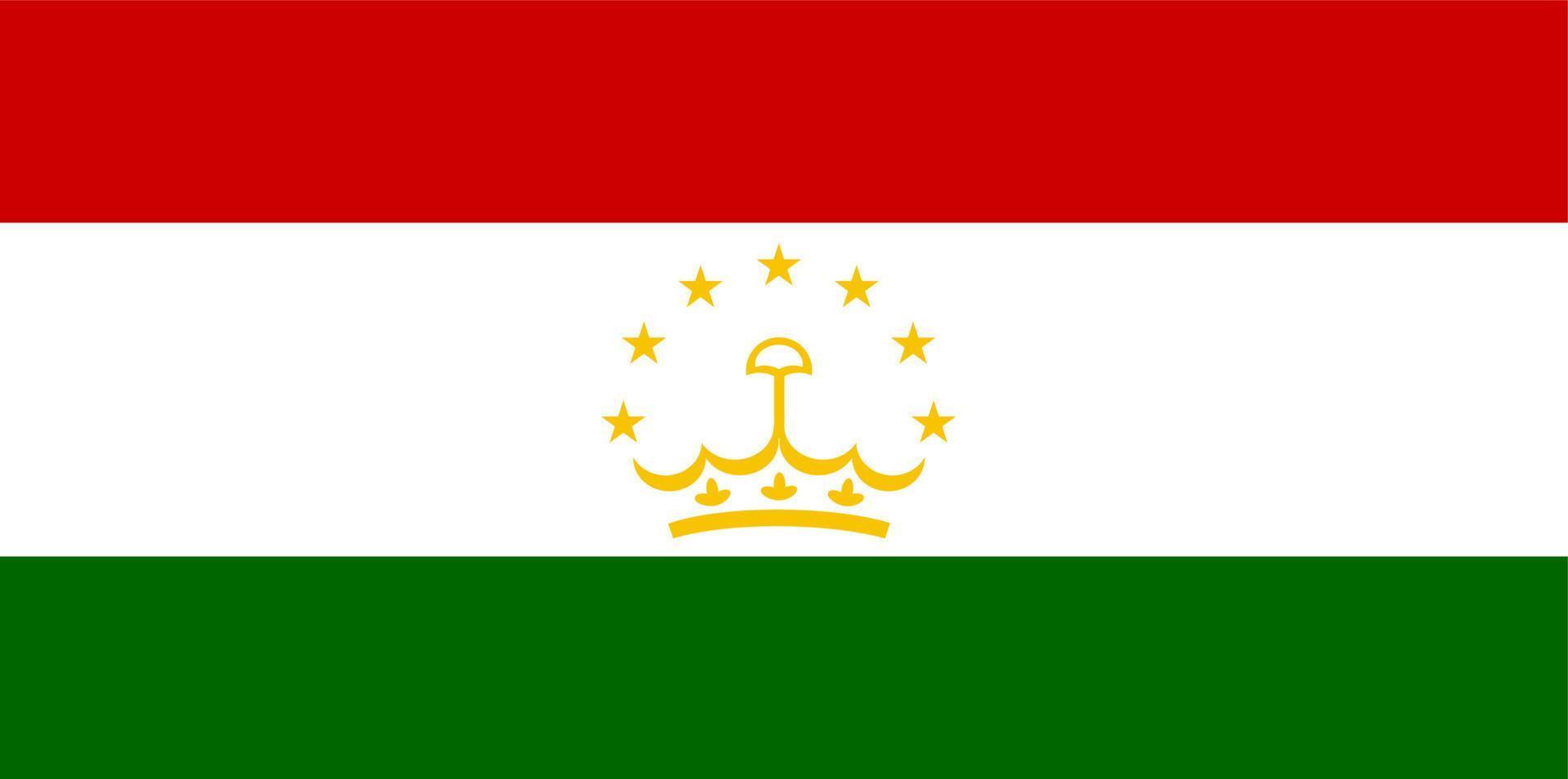 tajik vlag vector hand- getekend,tadzjikistan somoni vector hand- getrokken