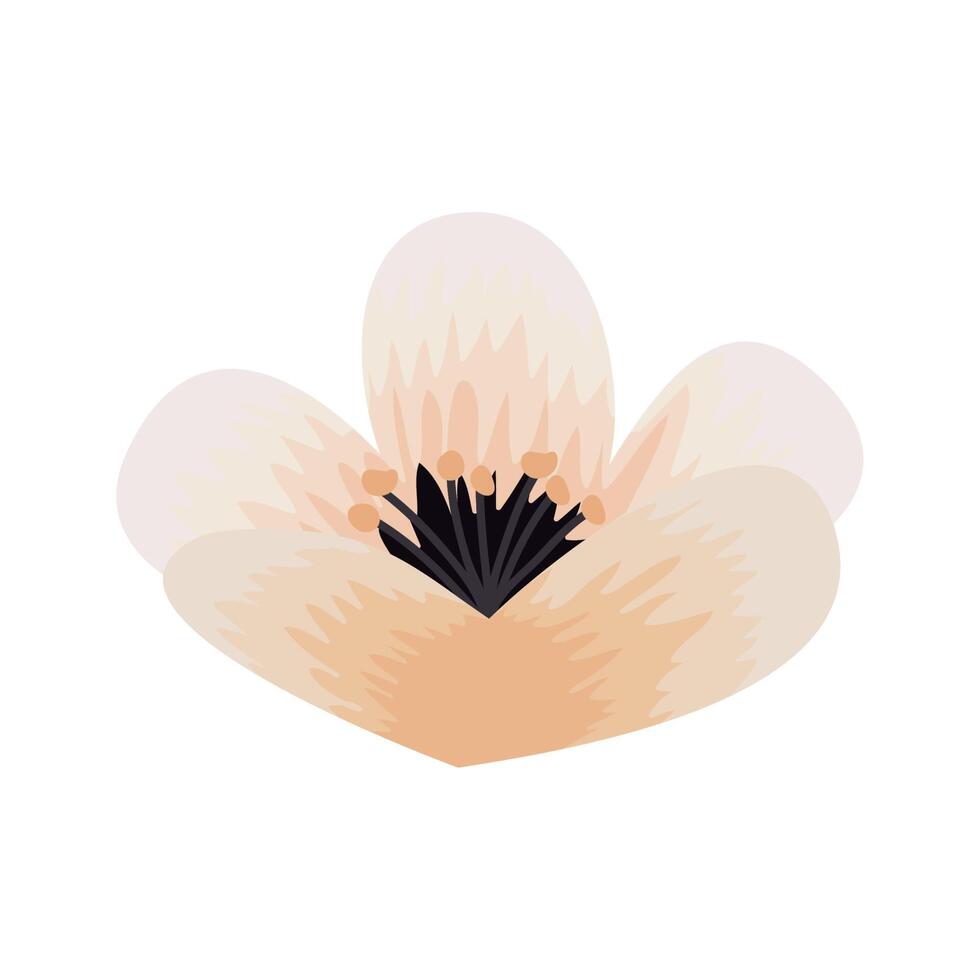 beige bloem voorjaar vector