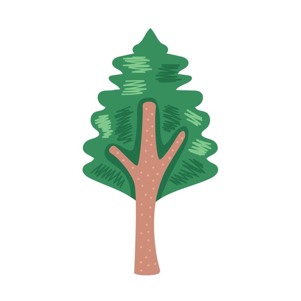 pijnboom coniferus boom vector