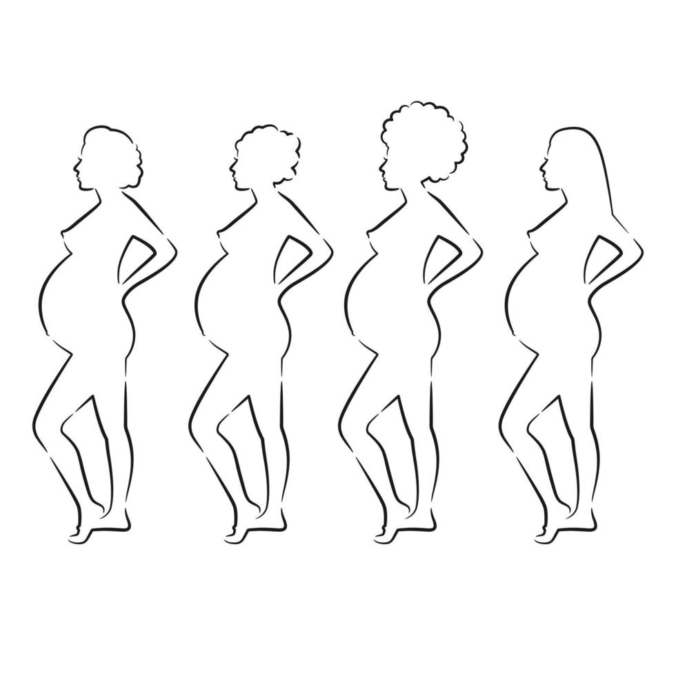 lijn kunst zwanger Dames vector illustratie