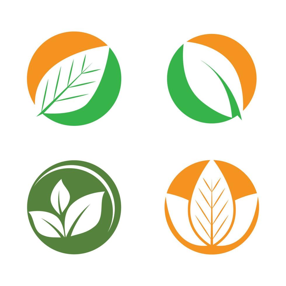 groen blad logo ecologie natuur element vector icoon