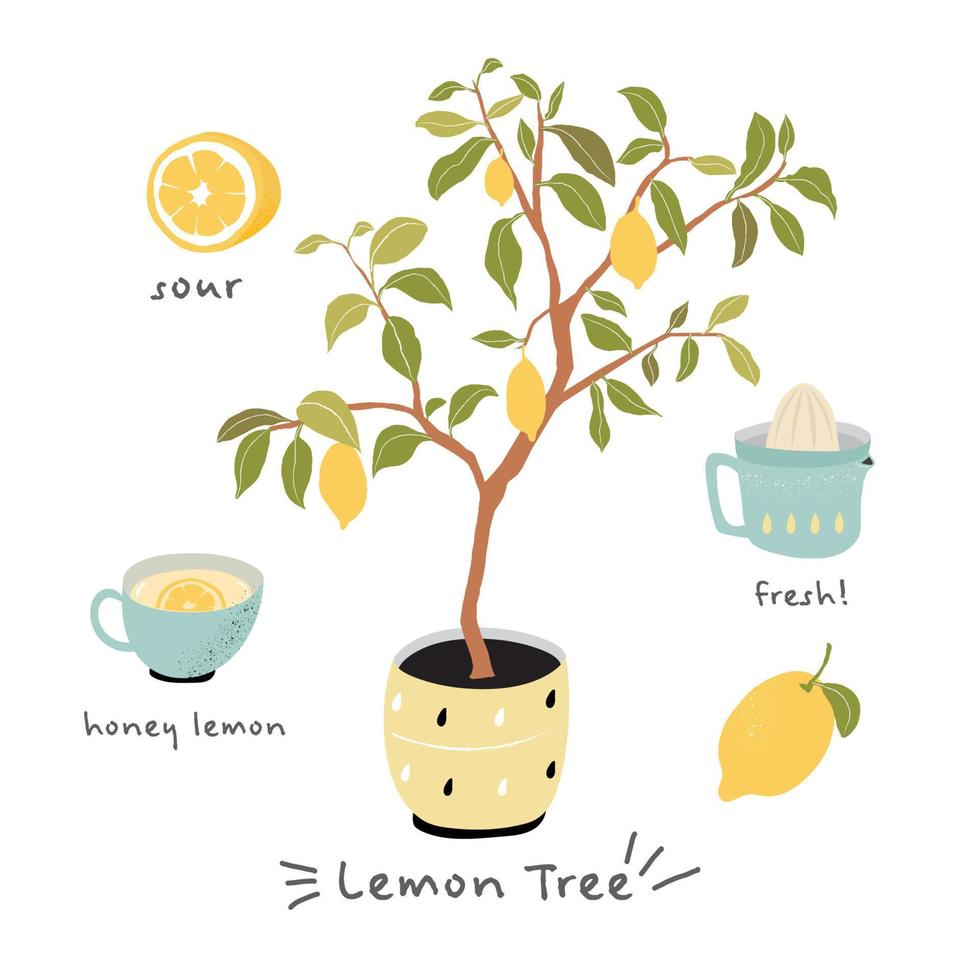 citroen boom met honing citroen verzuren en vers, citrus boom vector
