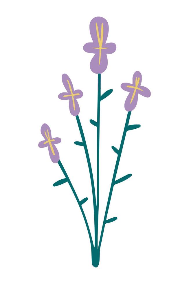 vector illustratie van lila vergeet me niet bloem getrokken in een vlak stijl.