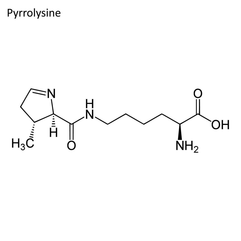 skelet- formule van pyrrolysine vector