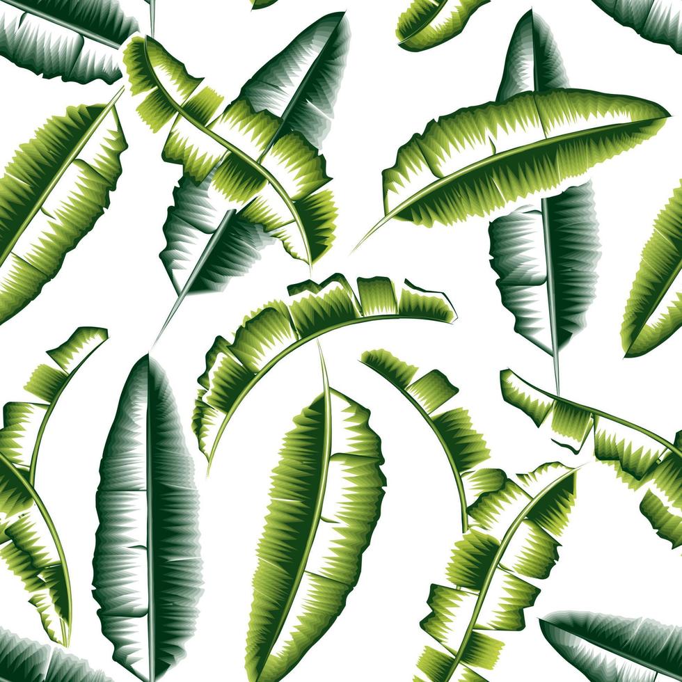 modieus abstract naadloos achtergrond met groen tropisch banaan bladeren in monochromatisch kleur stijl Aan wit achtergrond. vector ontwerp. oerwoud afdrukken. kleurrijk stijlvol. exotisch keerkring. zomer themed