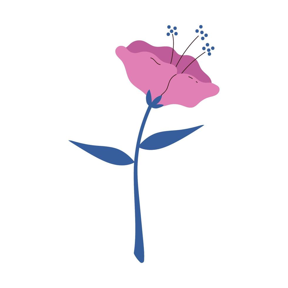 roze bloem decoratie vector