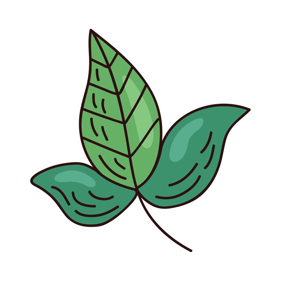 groene bladeren plant vector