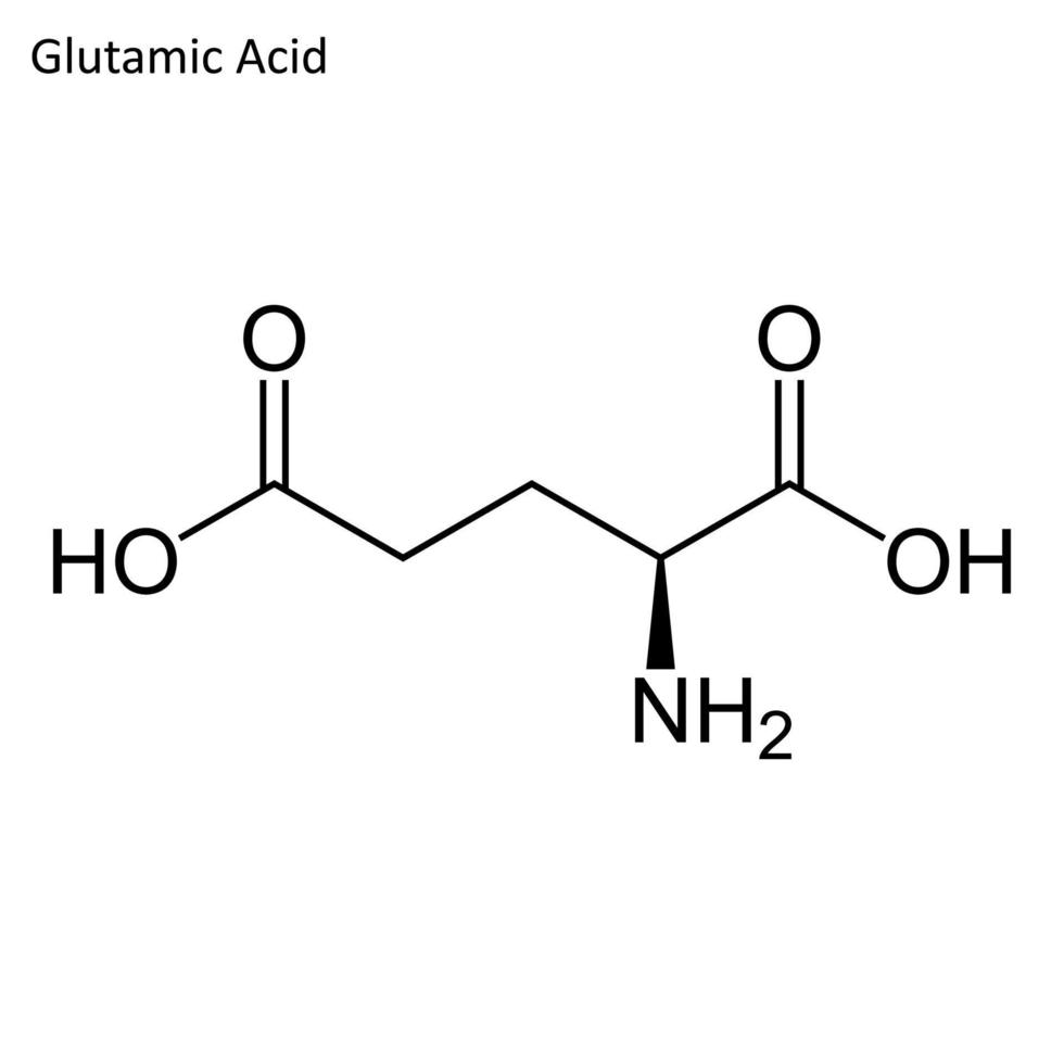 skelet- formule van glutaminezuur zuur vector