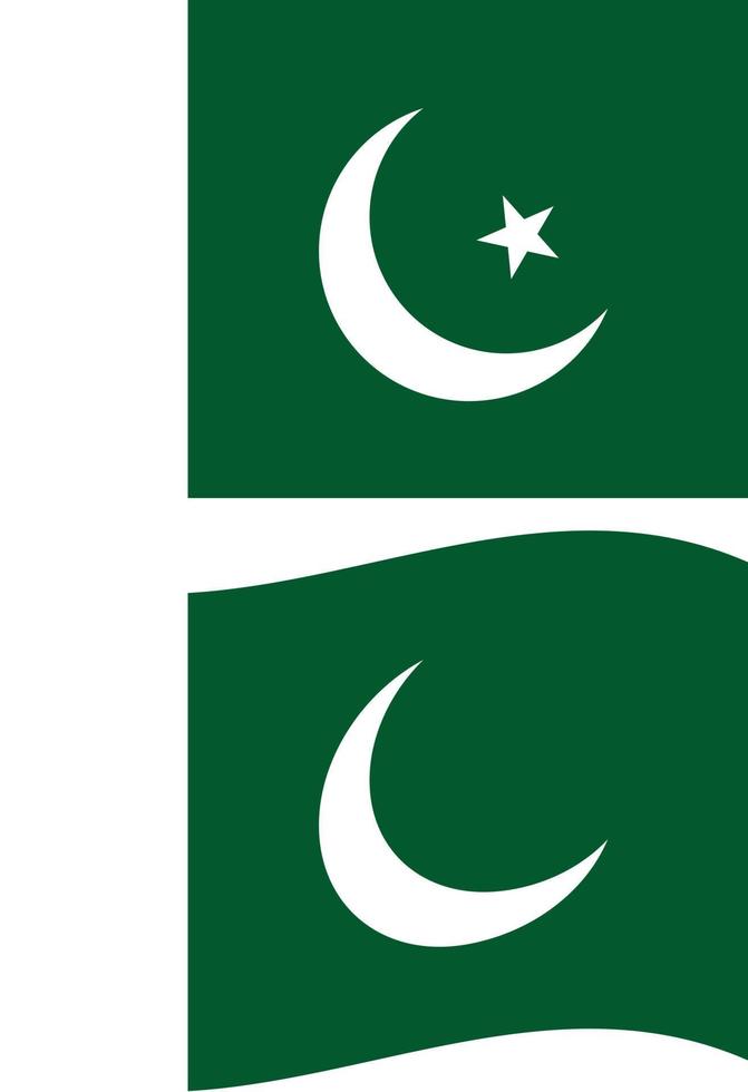 nationaal vlag van Pakistan met papier structuur achtergrond. vlag van Pakistan. Pakistan golvend vlag. vlak stijl. vector