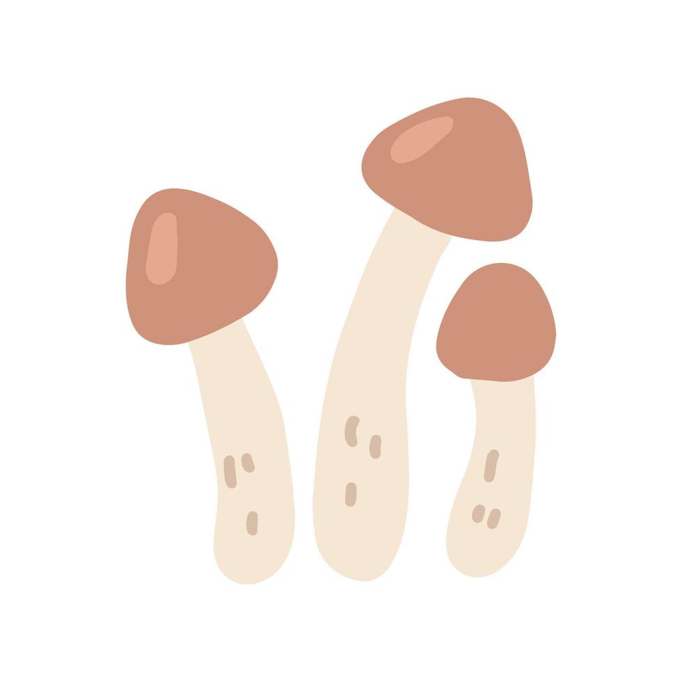 herfst honing paddestoelen, vector vlak illustratie Aan wit achtergrond