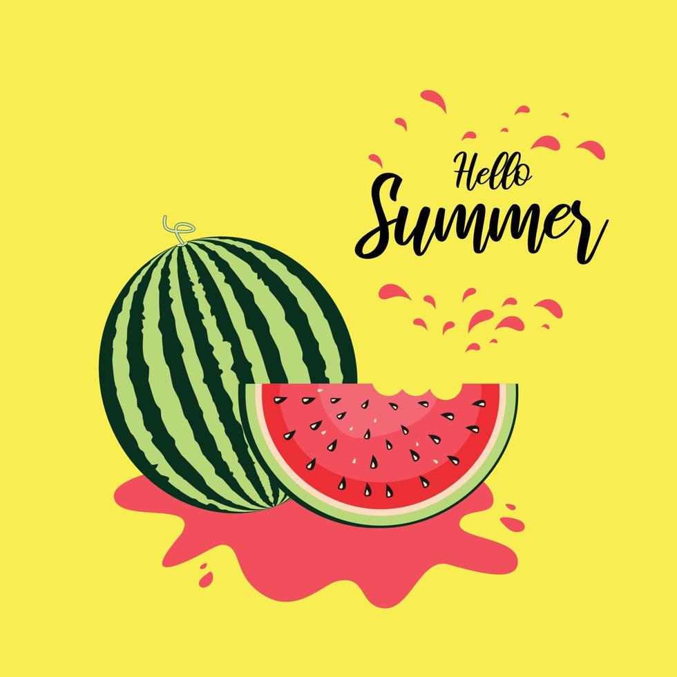 Hallo zomer woord met fruit, watermeloen. vector illustratie in vlak stijl