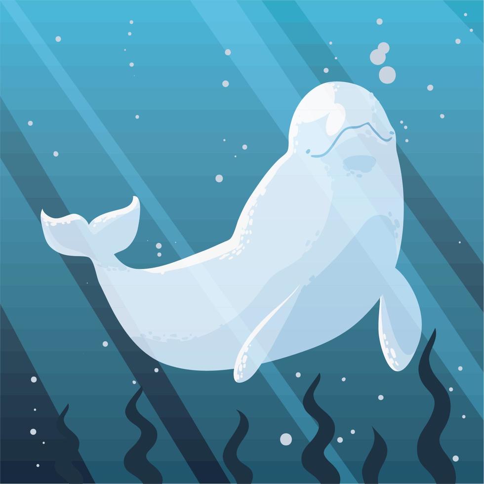 beluga onderwater- en zeewier vector