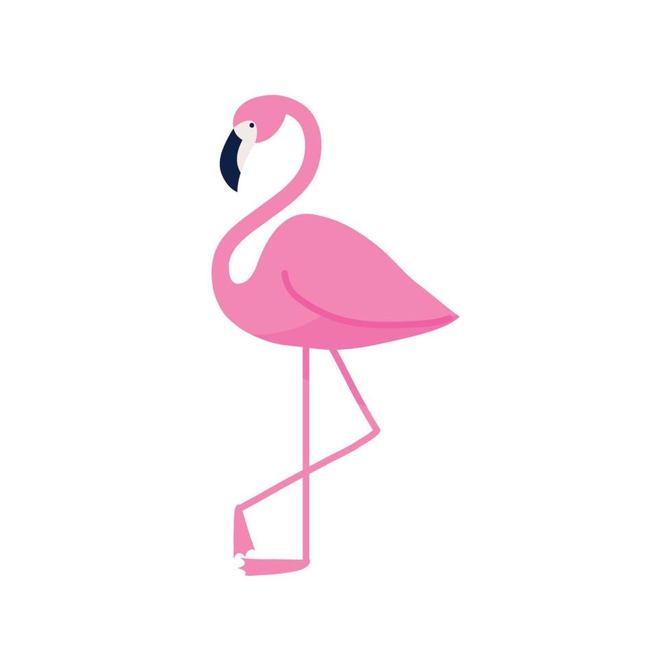 flamingo vogel icoon vector