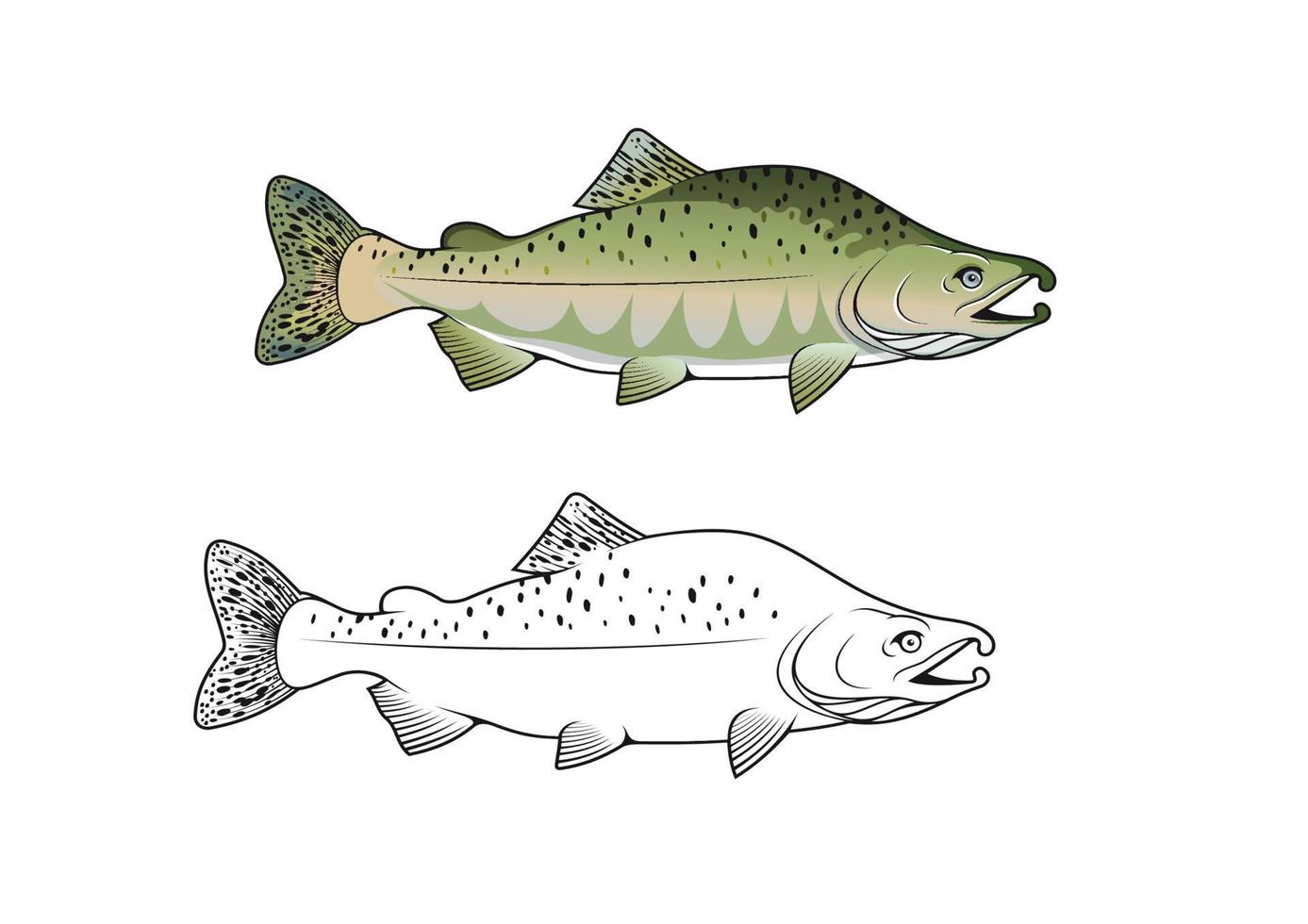 gebochelde Zalm vis vector