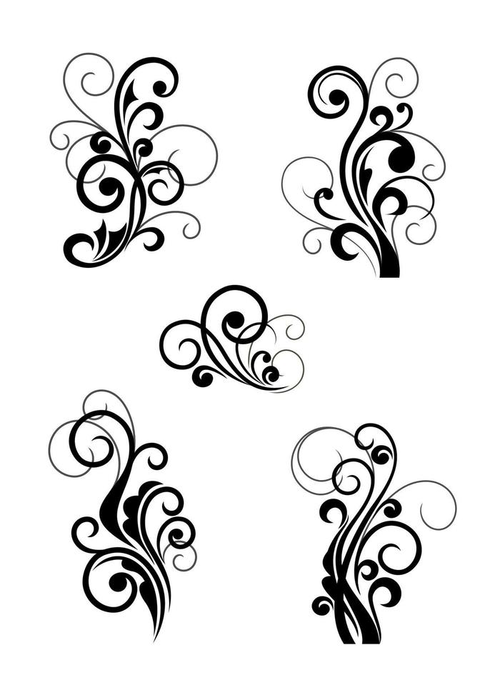 bloemen cartouches en bloeit vector