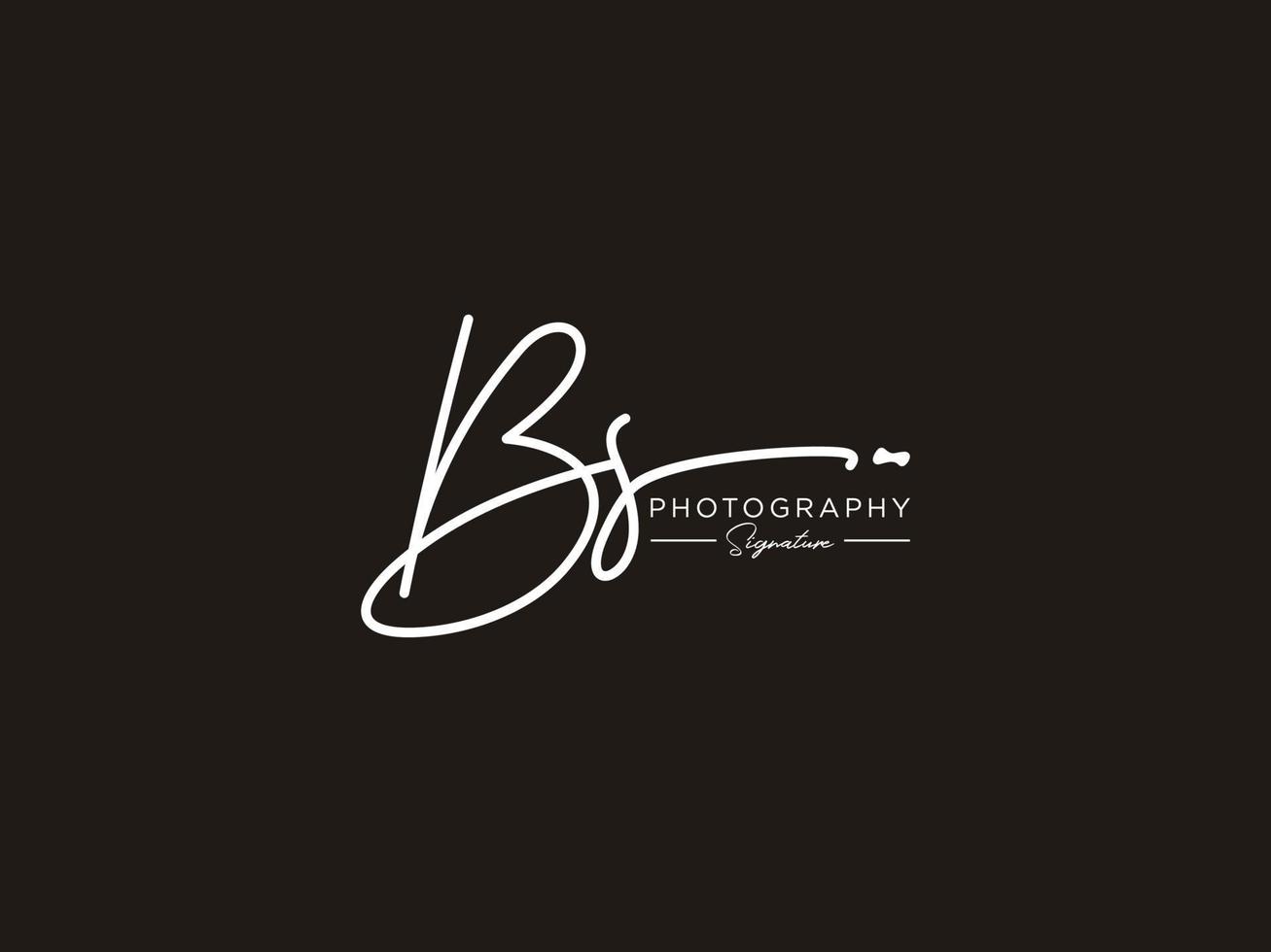 letter bs handtekening logo sjabloon vector