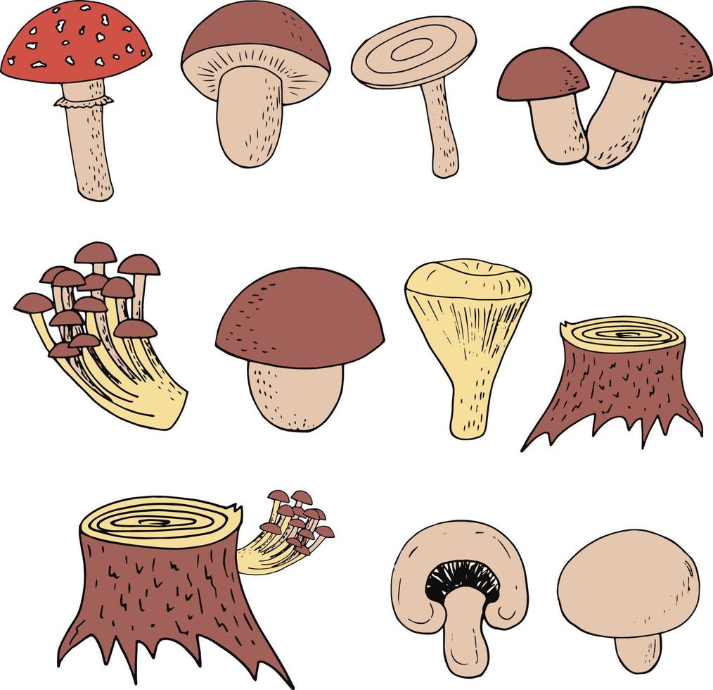 Woud champignons reeks schetsen hand- getrokken tekening. icoon, kaart, poste vector