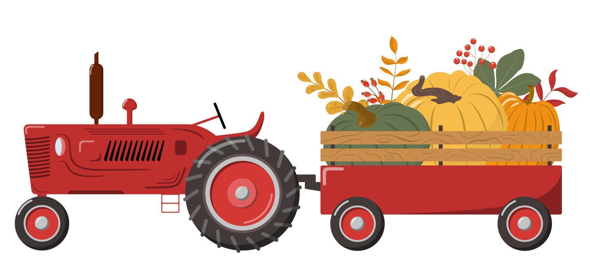 rood boerderij trekker met pompoen aanhangwagen. geïsoleerd Aan wit. vallen oogst seizoen kleurrijk illustratie. ontwerp kaart, sticker, poster, spandoek. vector vlak tekenfilm illustratie.