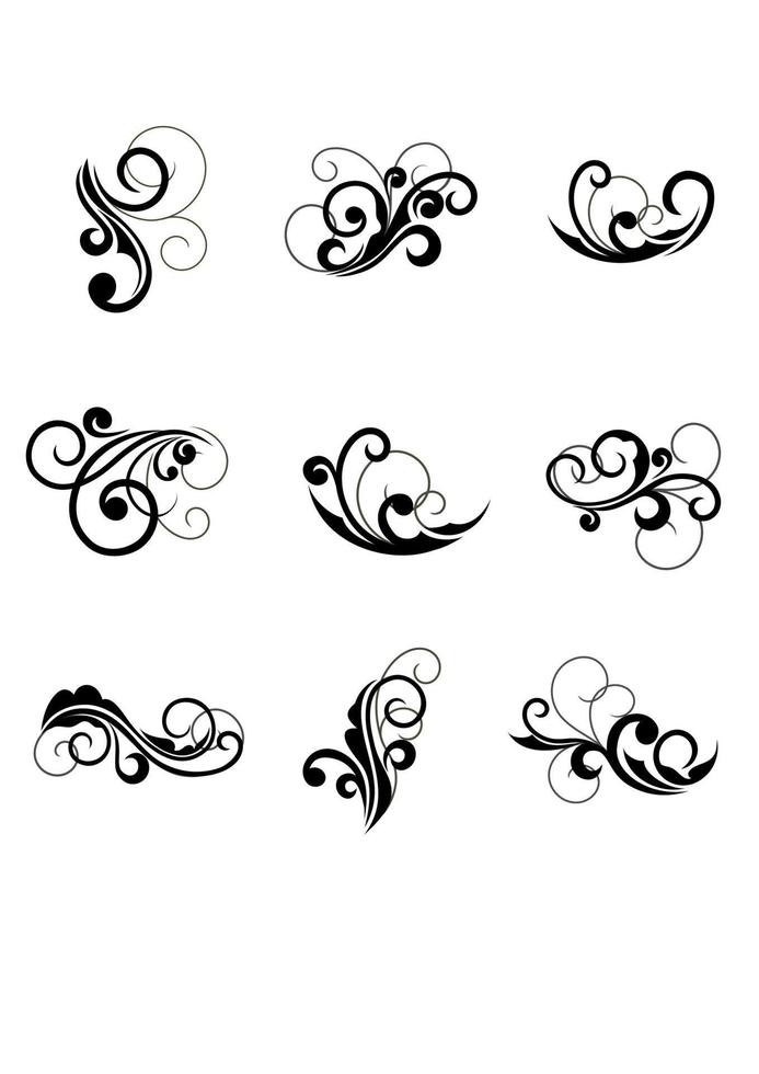 bloemen cartouches en bloeit vector