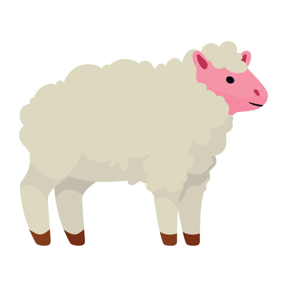 schapen huiselijk boerderij dier vector