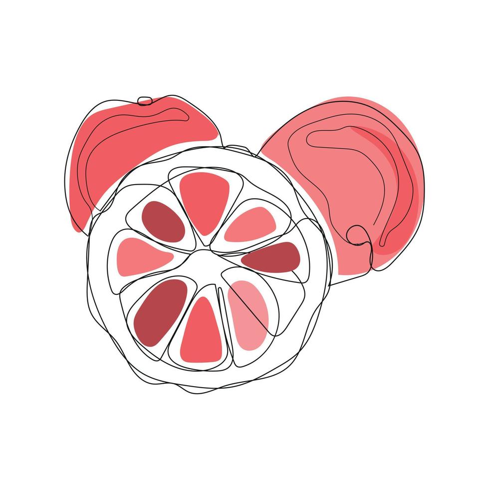 lijn tekening van grapefruit vector