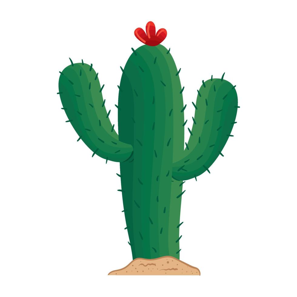 cactus droge plant vector