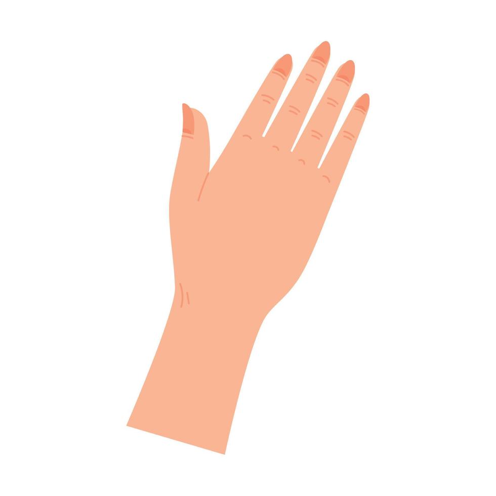 vrouw hand- met oranje nagels vector