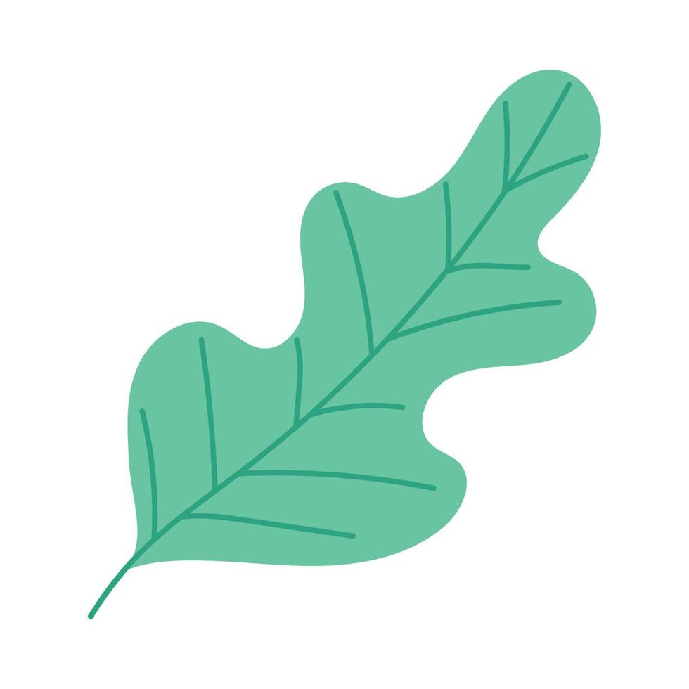 ecologie blad plant vector