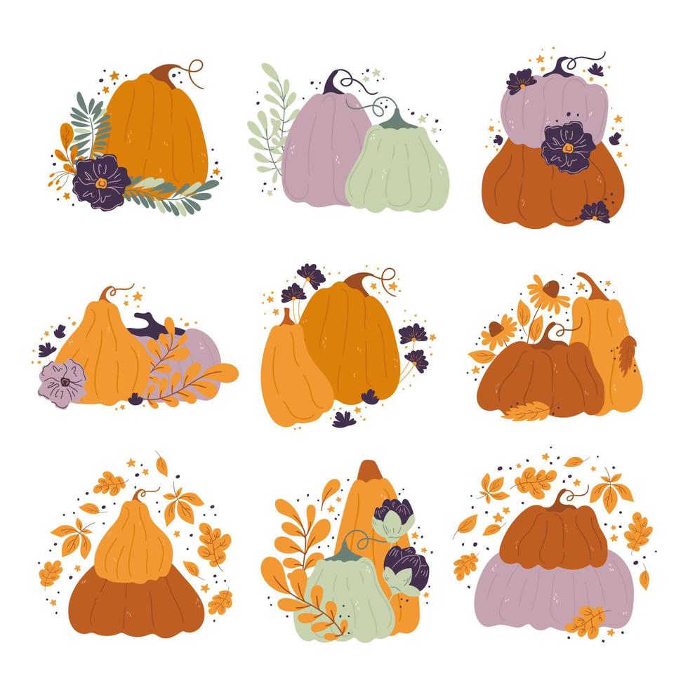 pompoenen tekenfilm composities met bladeren en bloemen. pompoen van divers vormen en kleuren geïsoleerd vector samenstelling voor herfst val, agrarisch oogst, dankzegging of halloween ontwerpen