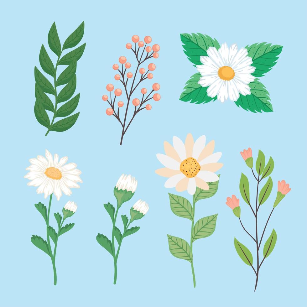 reeks van bloemen decoratie vector