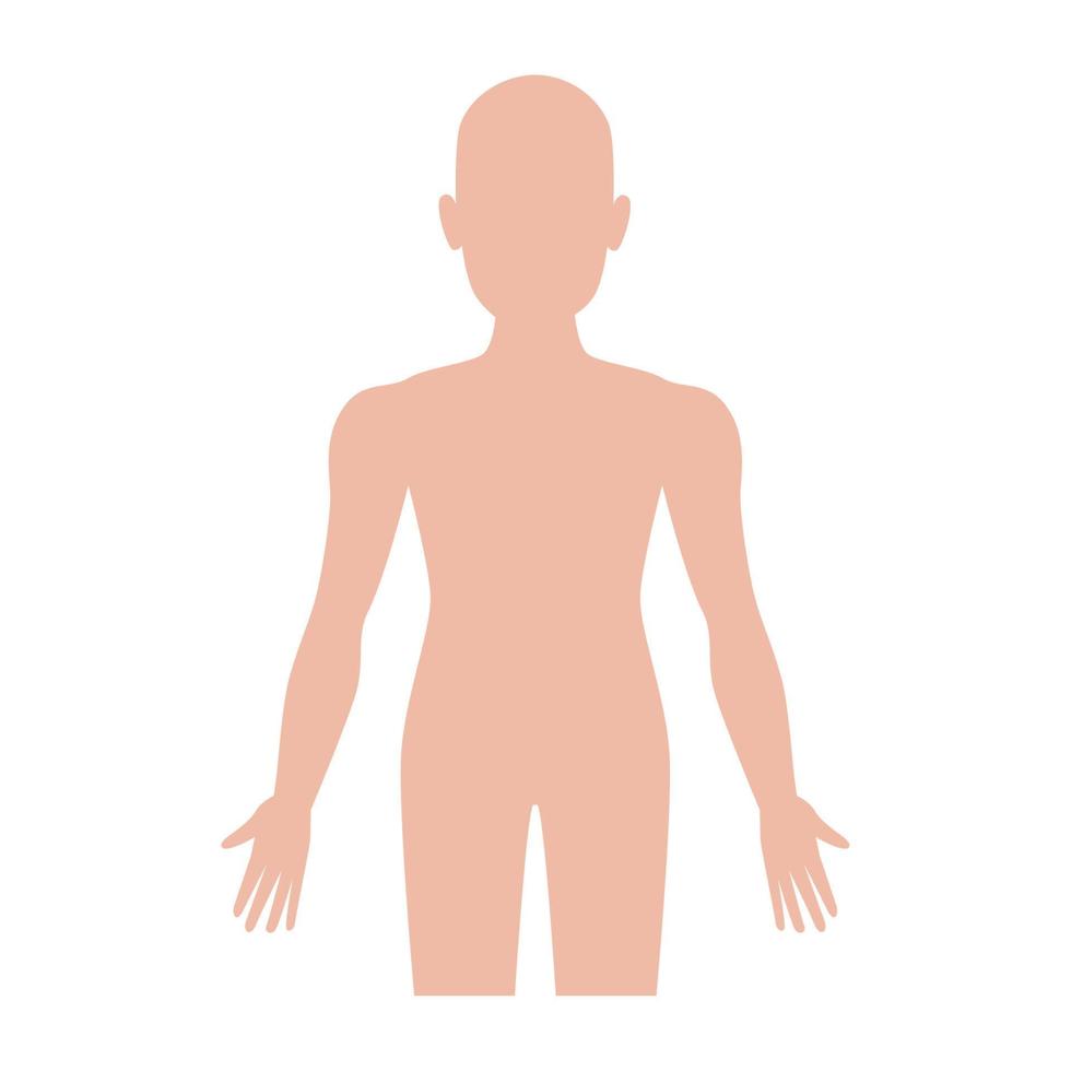lichaam menselijk silhouet vector