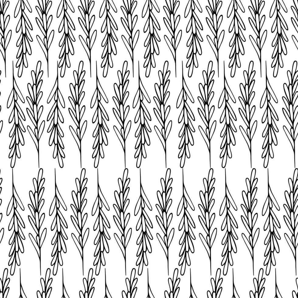 rozemarijn naadloos bloemenornament van geurig takjekruid in krabbelstijl vector