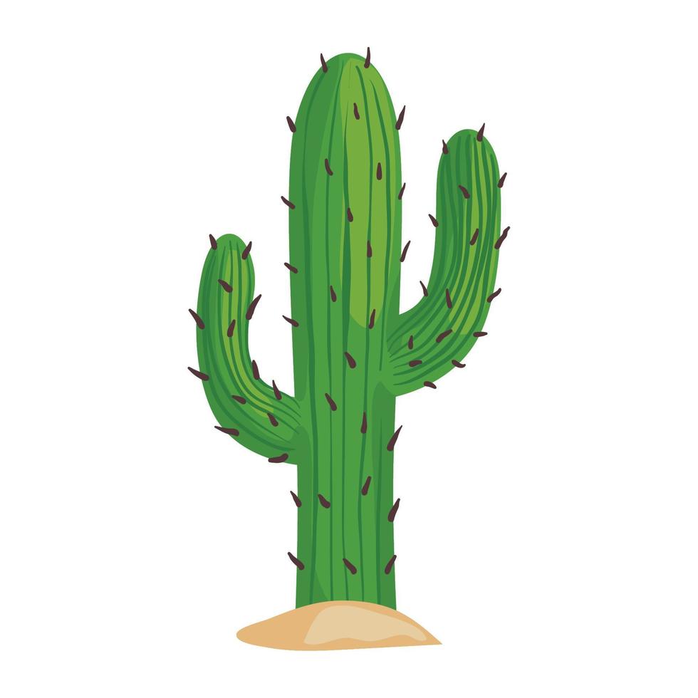 cactus droge plant vector