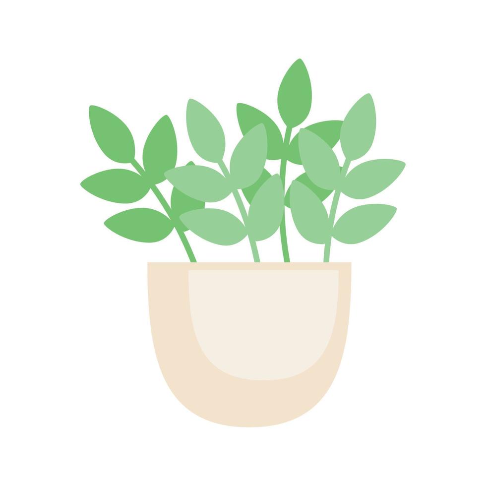 kamerplant in wit pot vector