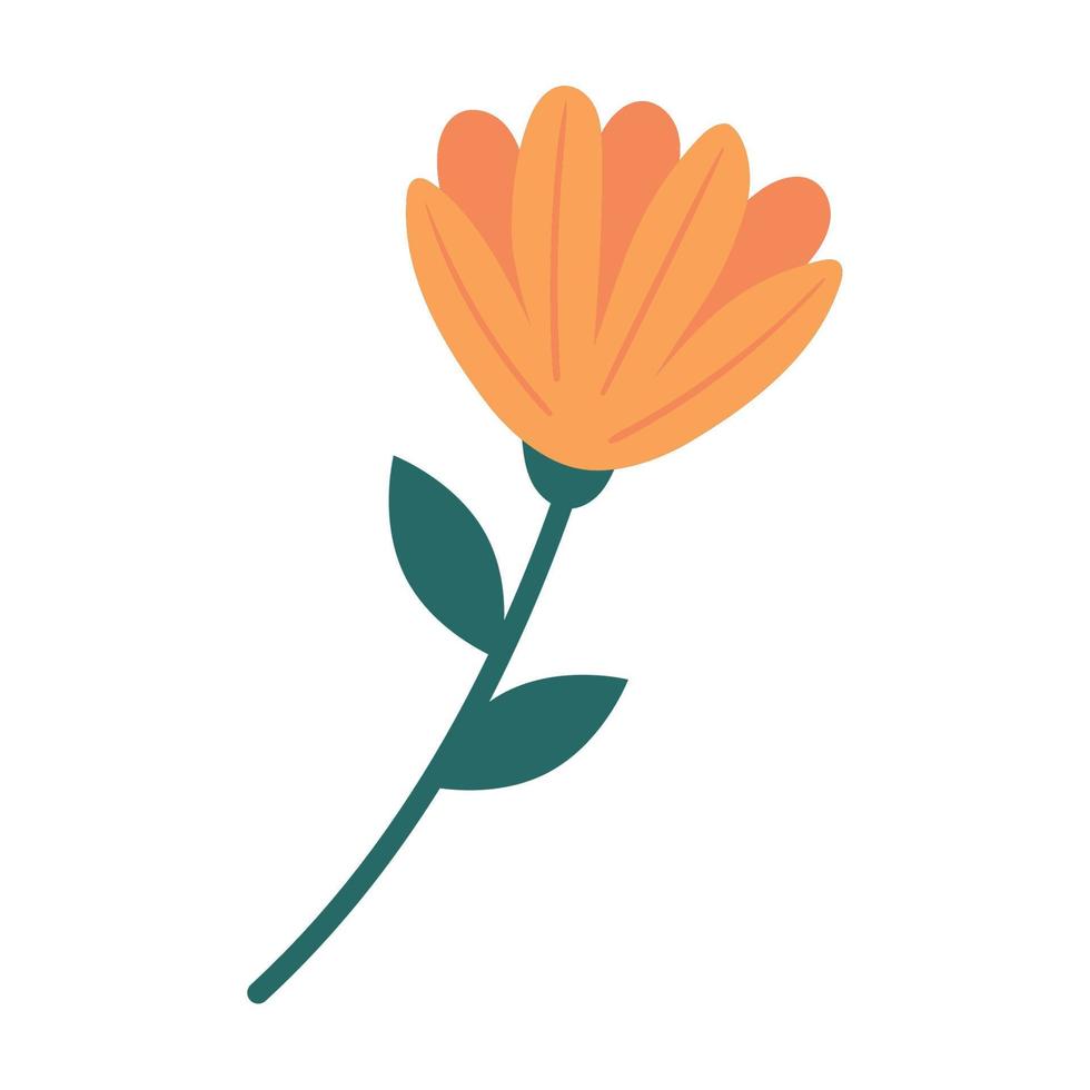 oranje bloemen tuindecoratie vector