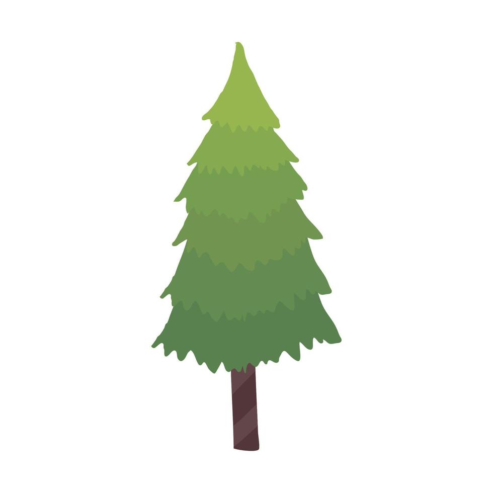 pijnboom boom fabriek coniferus vector